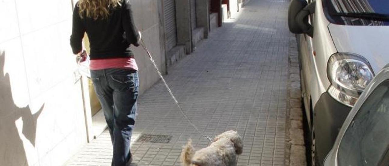 Una mujer pasea a su perro en Valencia