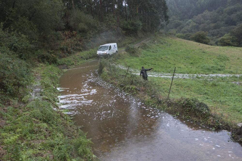 Temporal en Asturias: Las intensas lluvias dejan ríos desbordados y carreteras cortadas en el Oriente