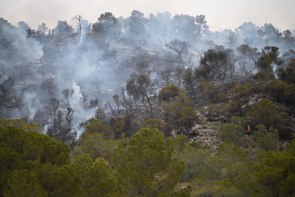 Fuego en Algueña: así está siendo el operativo para la extinción