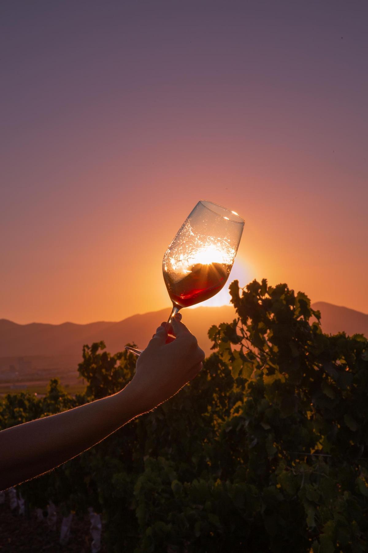 Al amanecer o al atardecer, en otoño o en verano, las tonalidades del paisaje de la Ruta del Vino Campo de Cariñena cautivan a los visitantes.