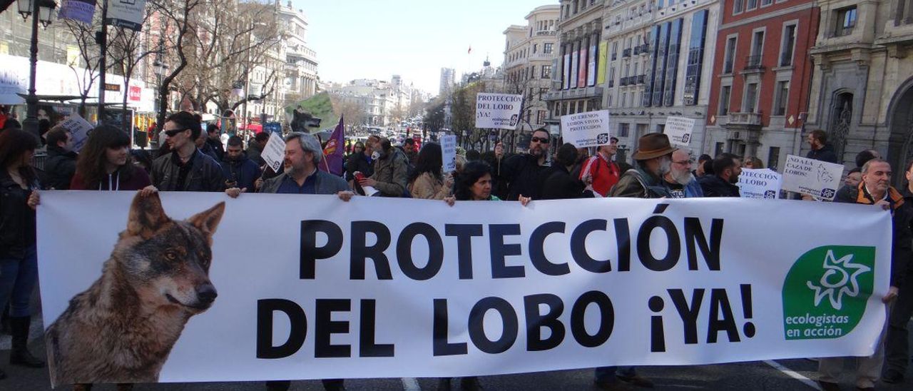 Manifestación a favor de la protección del lobo de Ecologistas en Acción. / ECOLOGISTAS EN ACCIÓN