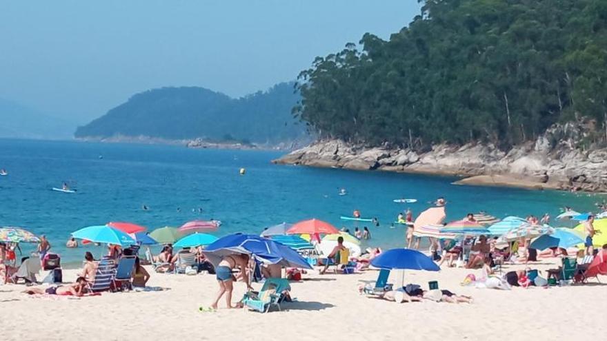 La Policía de Bueu tramita multas por llevar perros a la playa, que pueden llegar a 1.500 euros