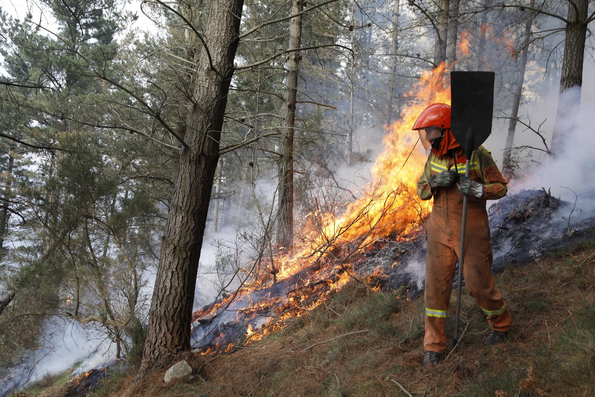 La lucha contra el fuego en el incendio entre Nava y Piloña