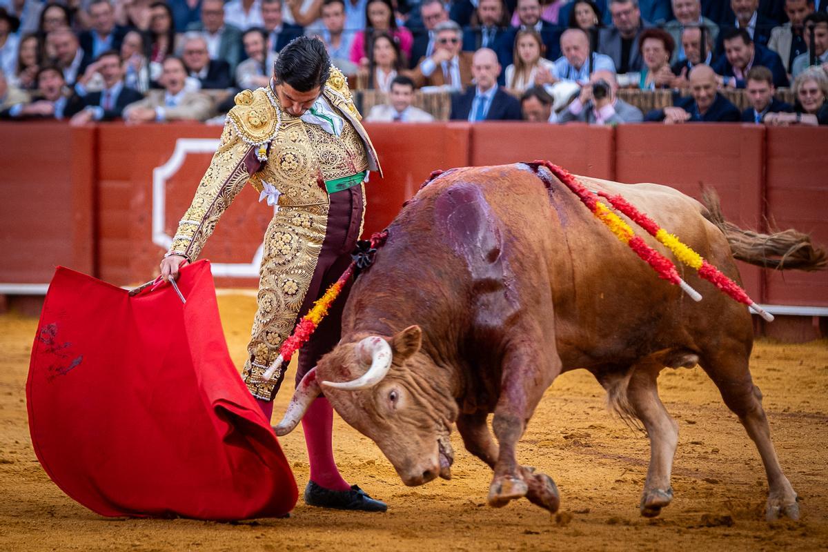 Templado derechazo de Morante.