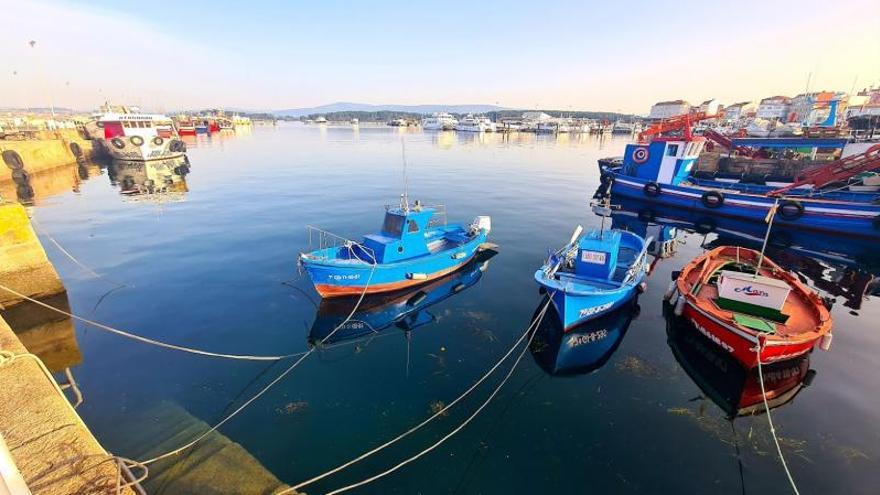 Embarcaciones auxiliares de acuicultura, de pesca y marisqueo en el muelle grovense de O Corgo.   | //  M. MÉNDEZ