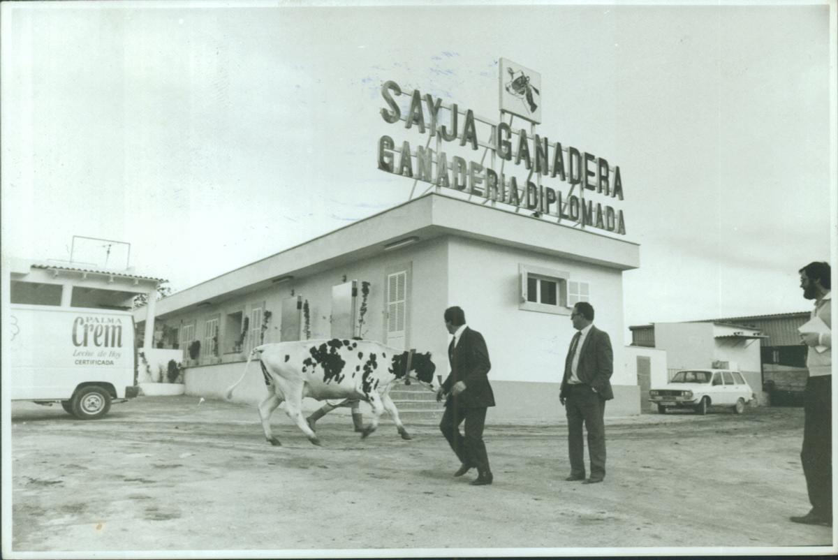 FOTOS | La historia de Agama, en imágenes