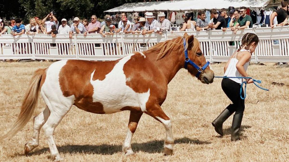 Niña con un caballo, ayer en Teixeiro. |   // L.O.