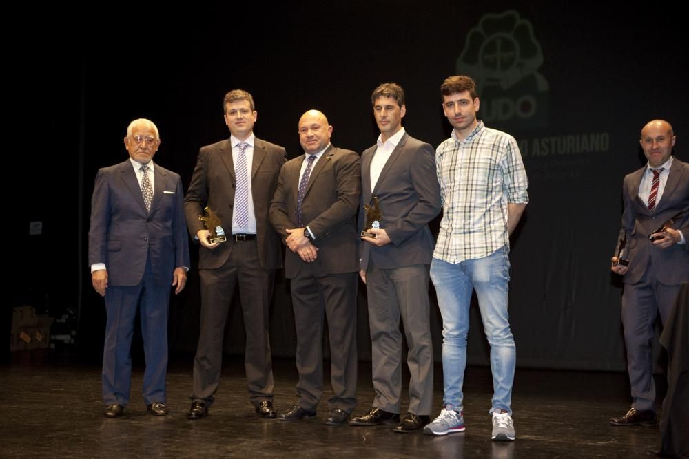 XXVI Gala del Judo Asturiano en el Nuevo Teatro de La Felguera