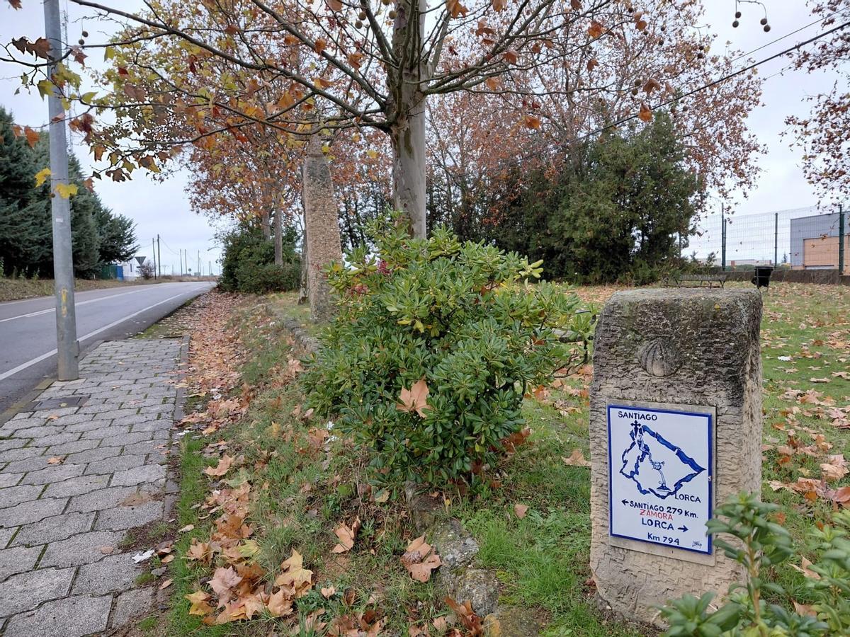 Señalización de la bifurcación entre el camino de Santiago y el carril bici