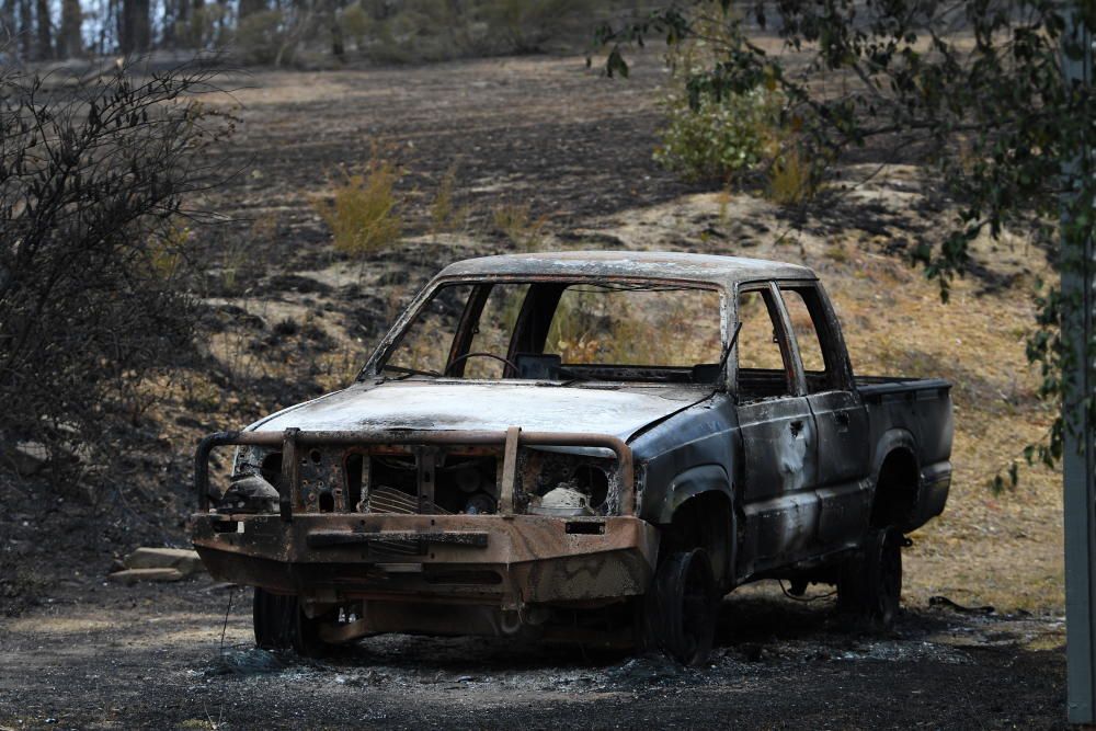 Al menos 12 muertos por los incendios en Australia