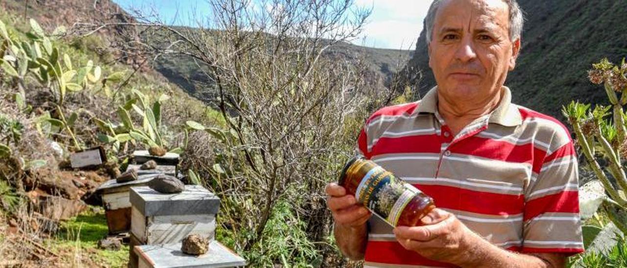 Diego Cazorla, primer premio del concurso de mieles