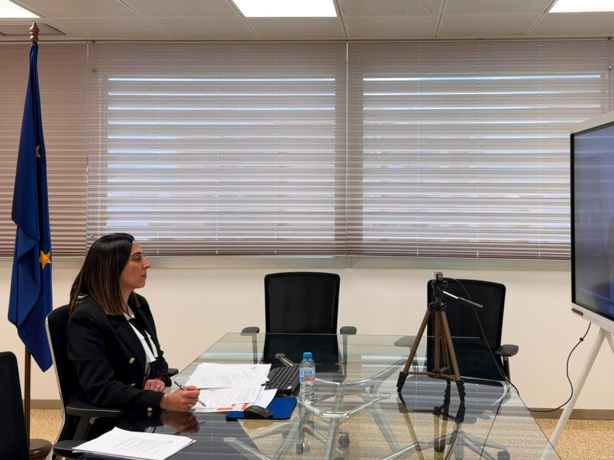 La consejera Sara Rubira durante la reunión de la Conferencia Sectorial telemática mantenida este viernes con el ministro Luis Planas.