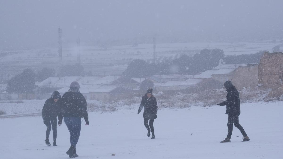 Nieve en La Encina.