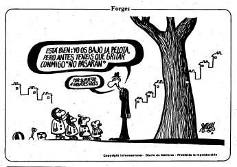 Forges en Diario de Mallorca