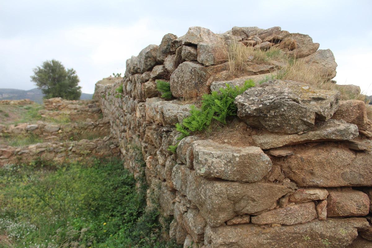 Detall de la muralla del recinte fortificat rosinc