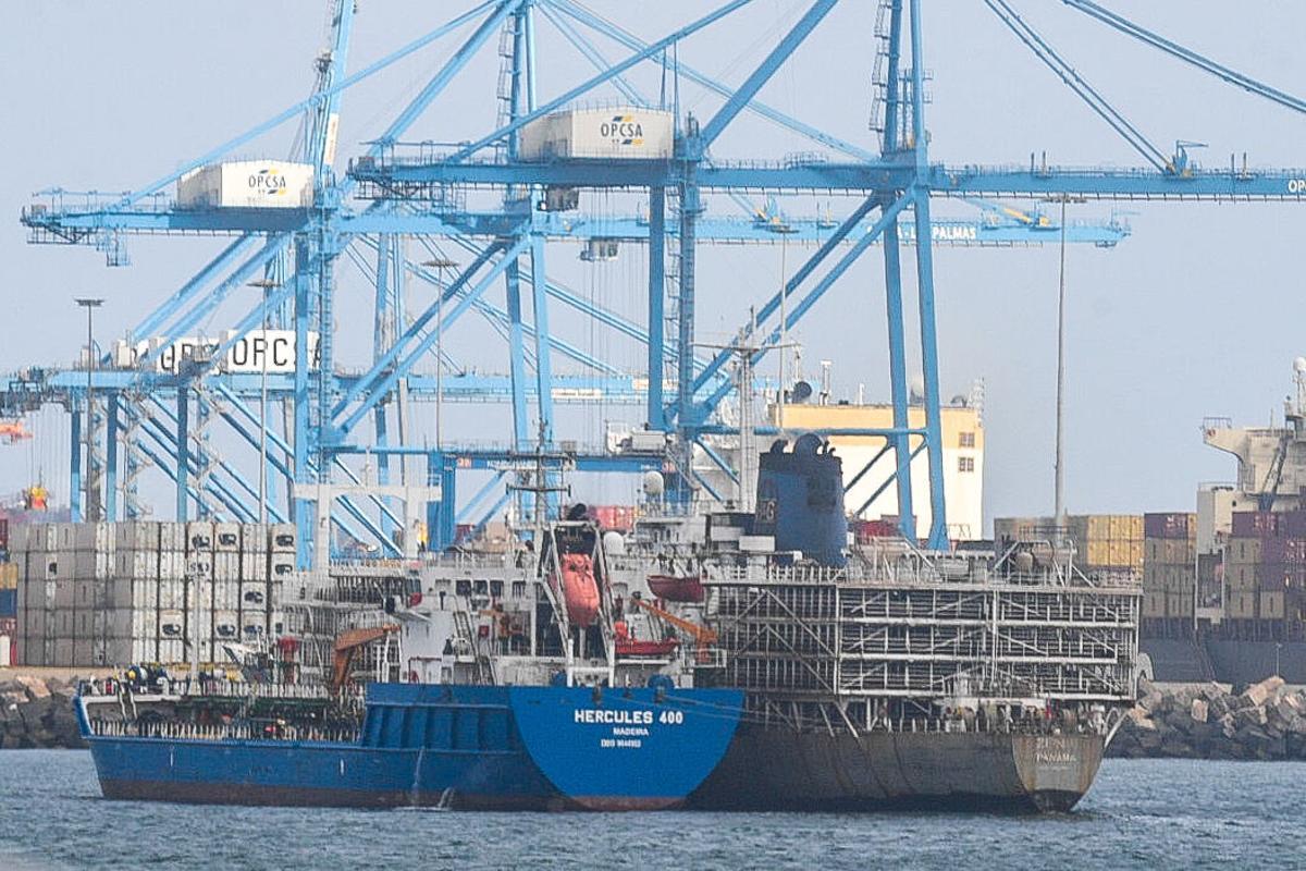 Barco 'Zein I', fondeado cargado de vacas en el Puerto de Las Palmas Barco 'Zein I', fondeado cargado de vacas en el Puerto de Las Palmas