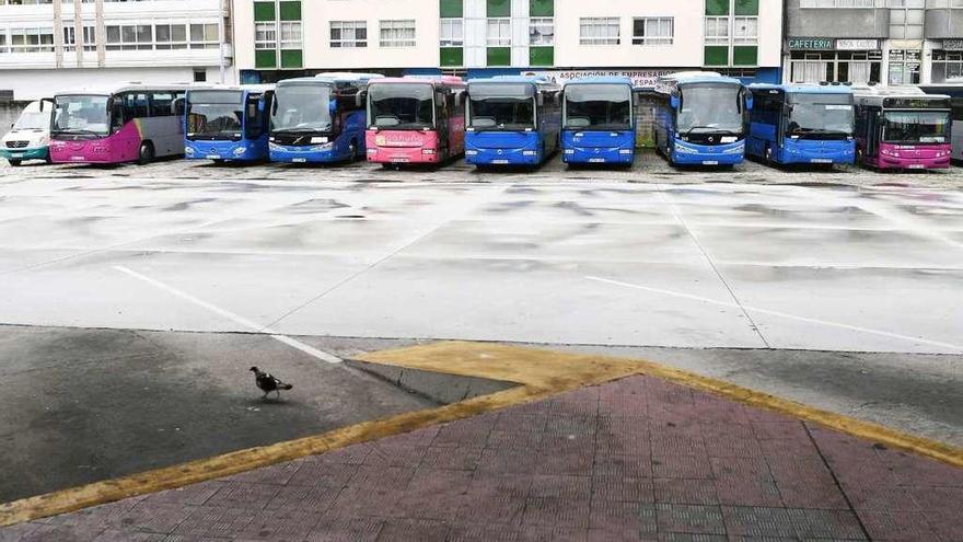 Autobuses aparcados en la estación de A Coruña.