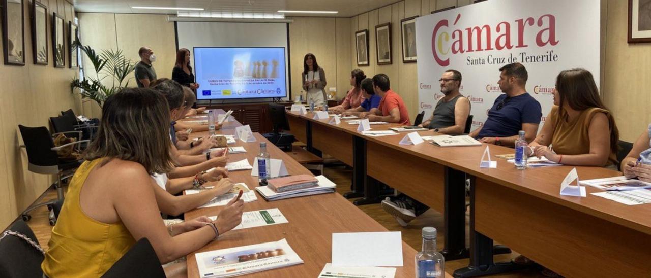 Este servicio cameral es gratuito gracias a la financiación del Cabildo de Tenerife | | E.D.
