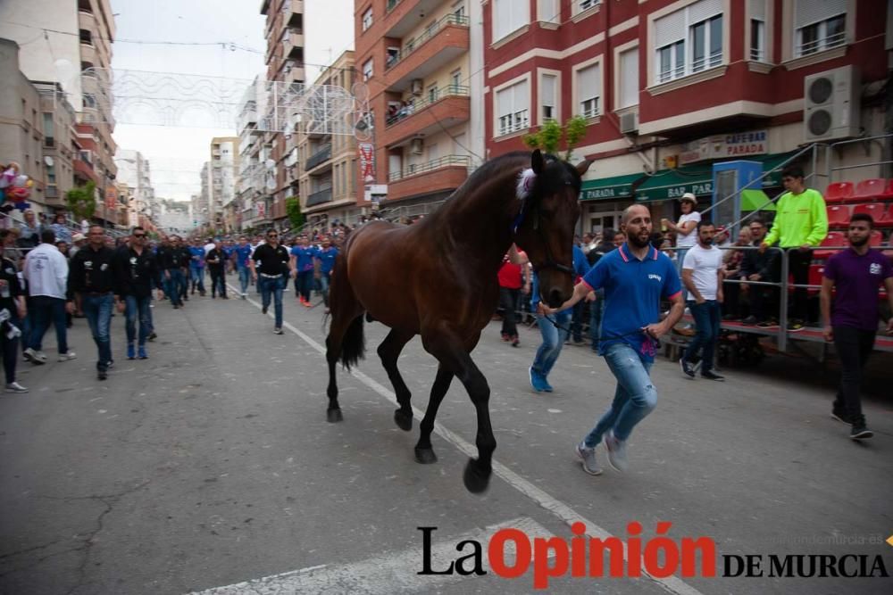 Caballos del Vino: Concurso morfológico (salida Pl