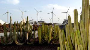 Foto de un parque eólico en Canarias.