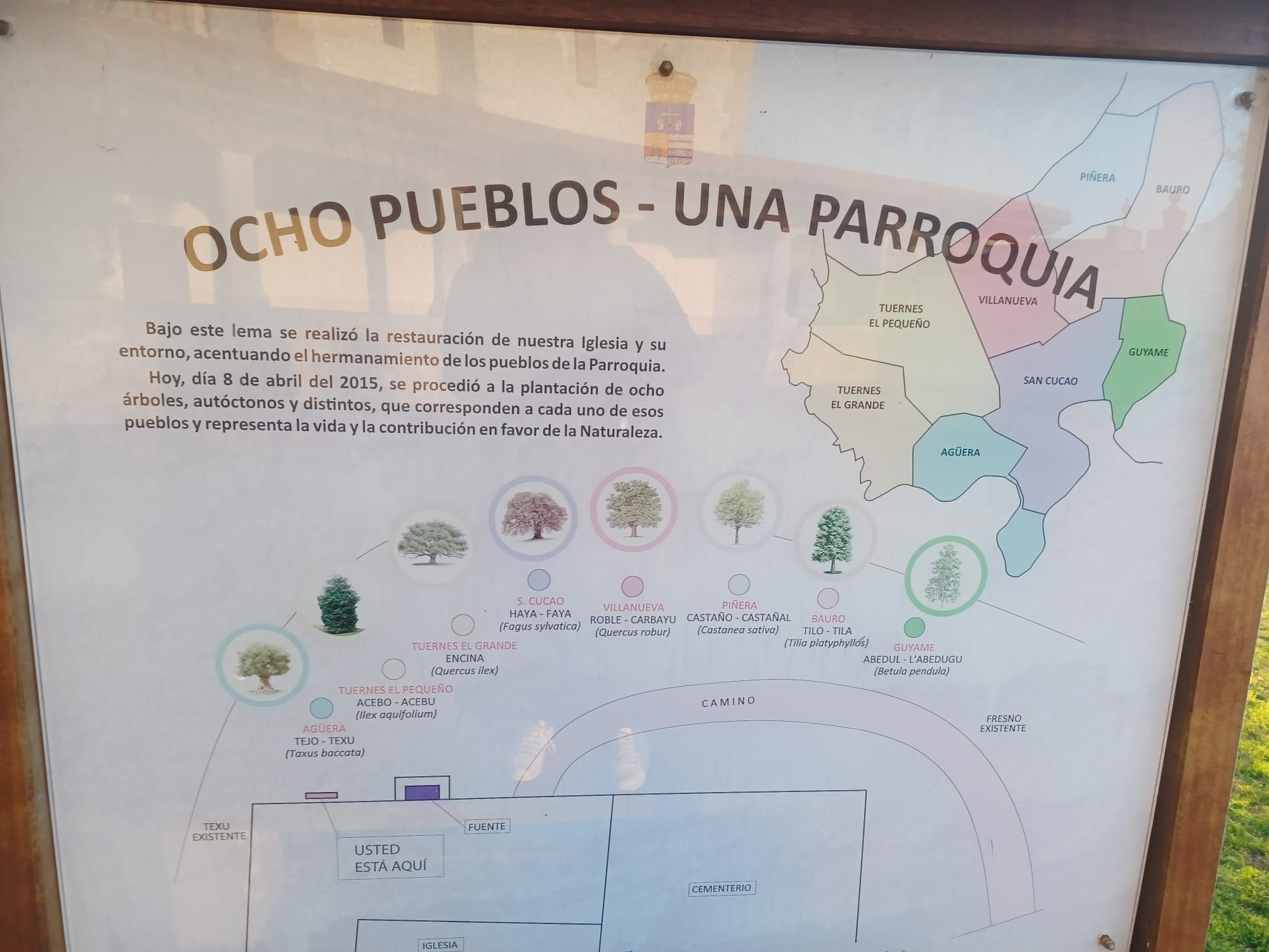 Ocho árboles para ocho pueblos: el bosque simboliza la unidad vecinal de San Cucao