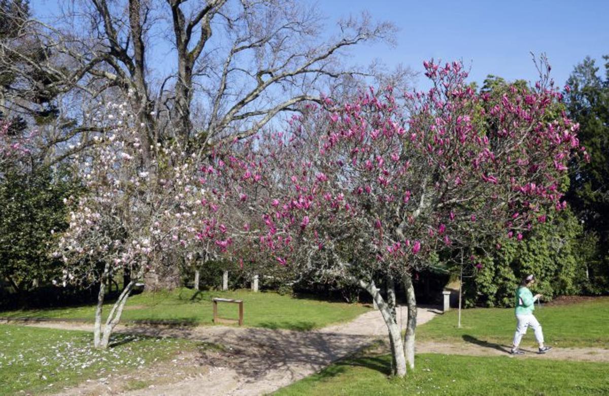 La ciudad que siempre brilla