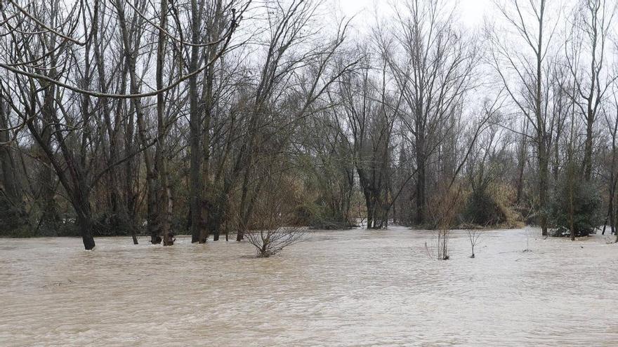 Interior revisarà la gestió d’alertes mòbils davant pluges torrencials
