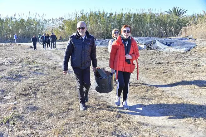 Voluntarios retiran plásticos de El Hondo en Elche por el Día de los Humedales