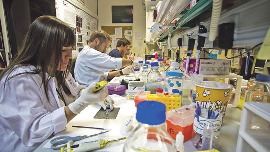 Investigadores en el Instituto de Neurociencias.