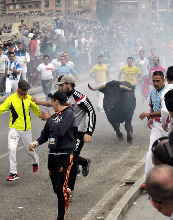 Toro de la Peña en Tordesillas