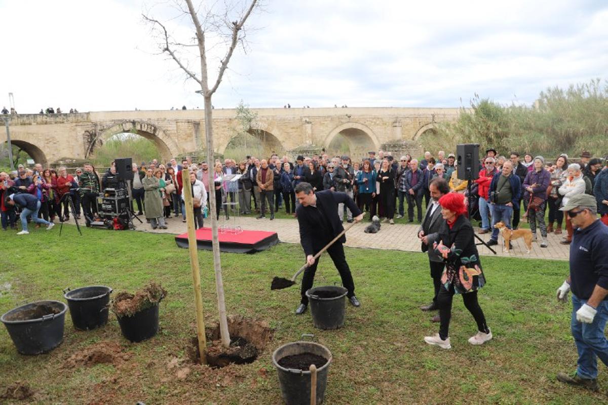 Siembra del árbol en Miraflores.