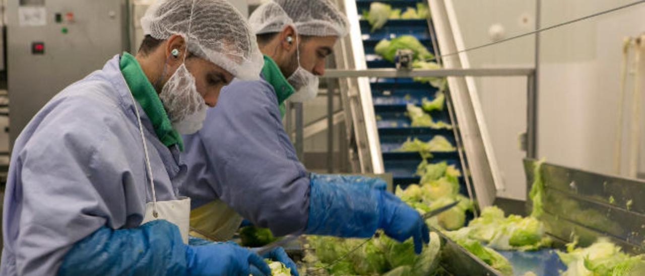 Trabajadores de la fábrica de Florette en Ingenio.