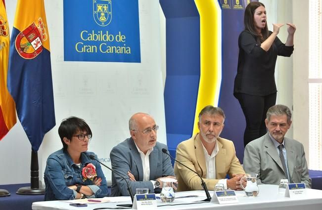 Pleno sobre accesibilidad en el Cabildo de Gran Canaria