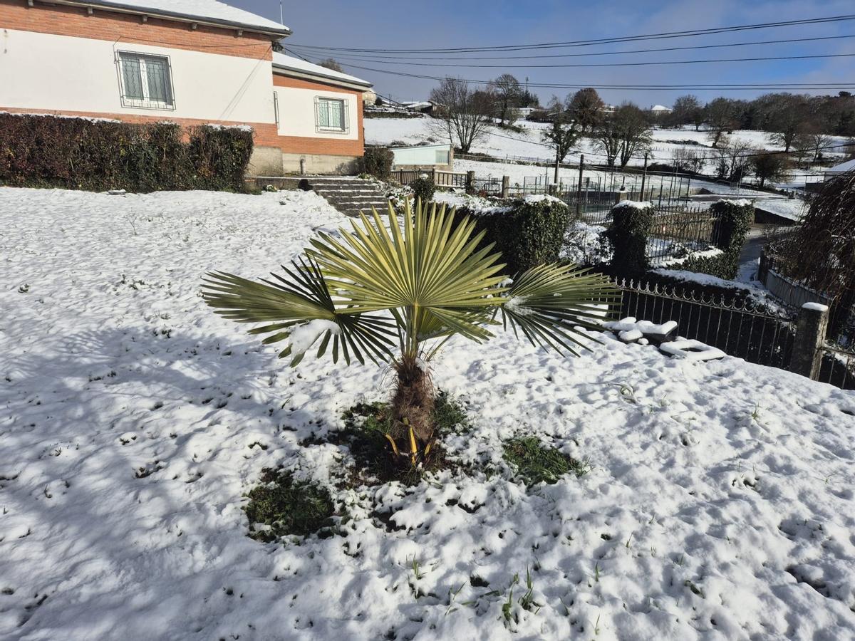 San Xoán de Río, esta mañana.