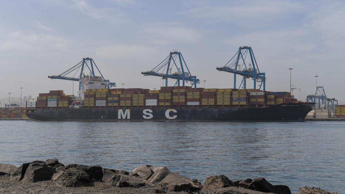 Un buque de MSC en la terminal de contenedores de Opcsa en Las Palmas.