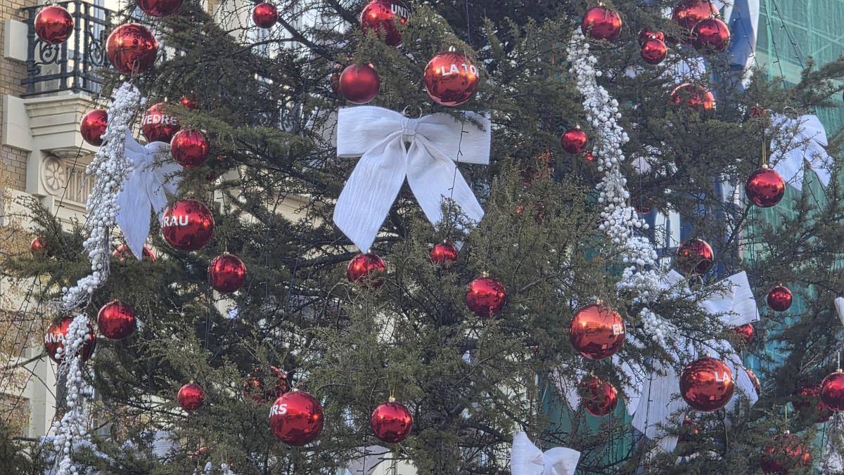 Lazos y bolas con los nombres de los barrios adornan el cedro