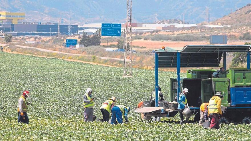 Unos 16 extranjeros consiguen ‘papeles’ cada día para poder trabajar en la Región de Murcia