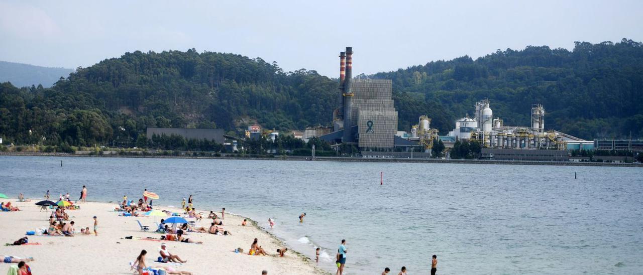 Fábrica de Ence en Lourizán, al borde de la ría de Pontevedra. |   // GUSTAVO SANTOS