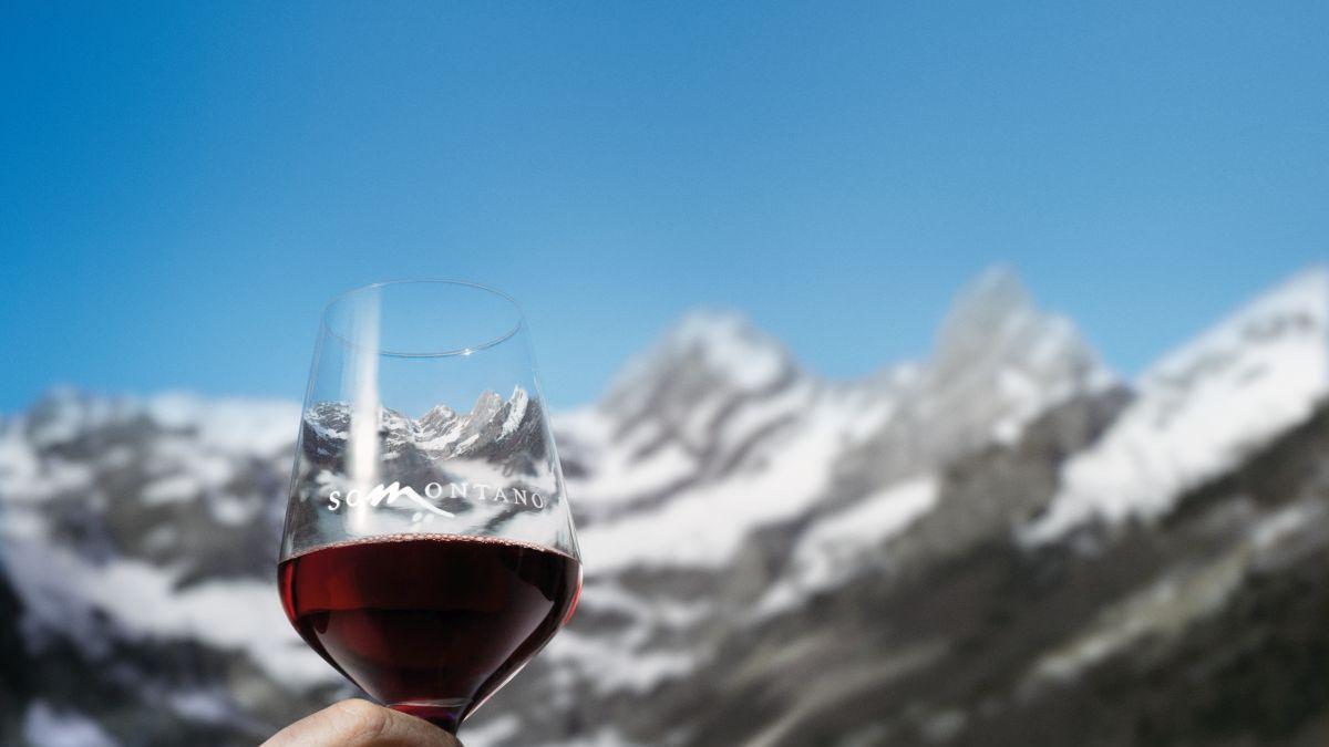 'Zaragoza Vino Somontano' es una oportunidad para disfrutar de los vinos y bodegas de la denominación de origen a través de tres propuestas diferentes.