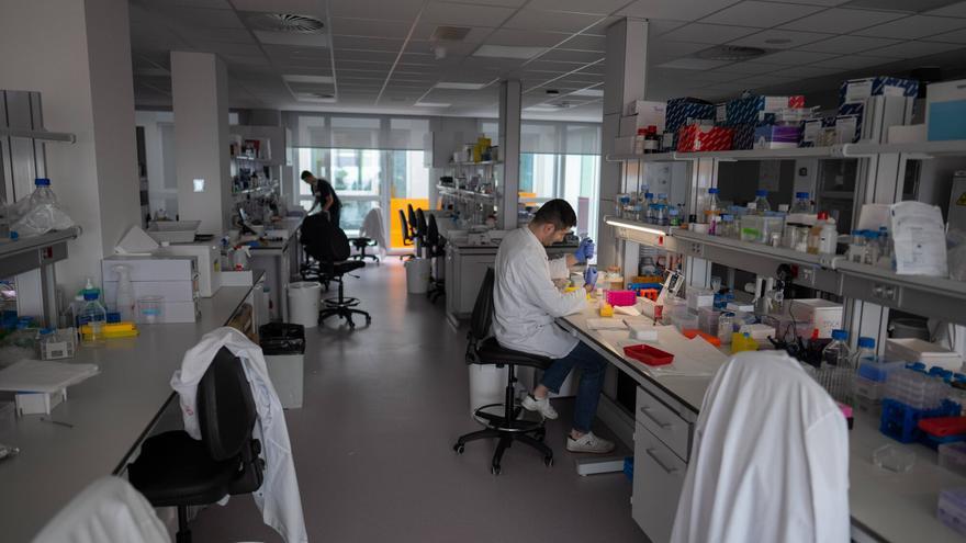 Madrid y Cataluña colideran un proyecto de Sanidad para centralizar la atención pediátrica virtual de enfermedades poco comunes