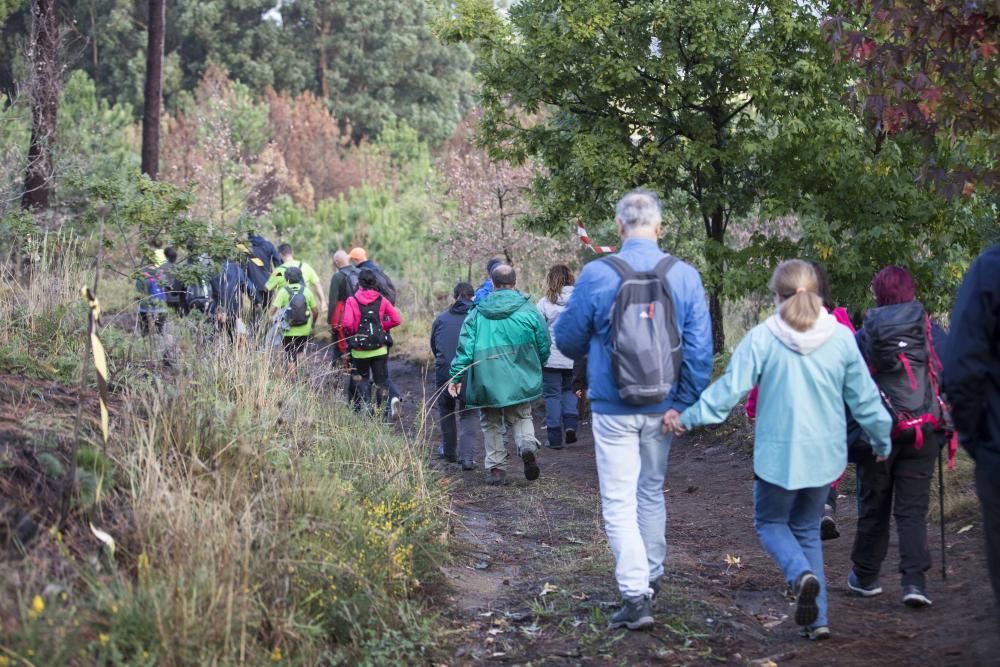 Más de medio millar de personas se citaron esta mañana en Coruxo para recorrer la zona quemada en octubre de 2017.