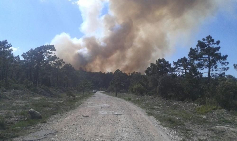 Incendio forestal en Enguera