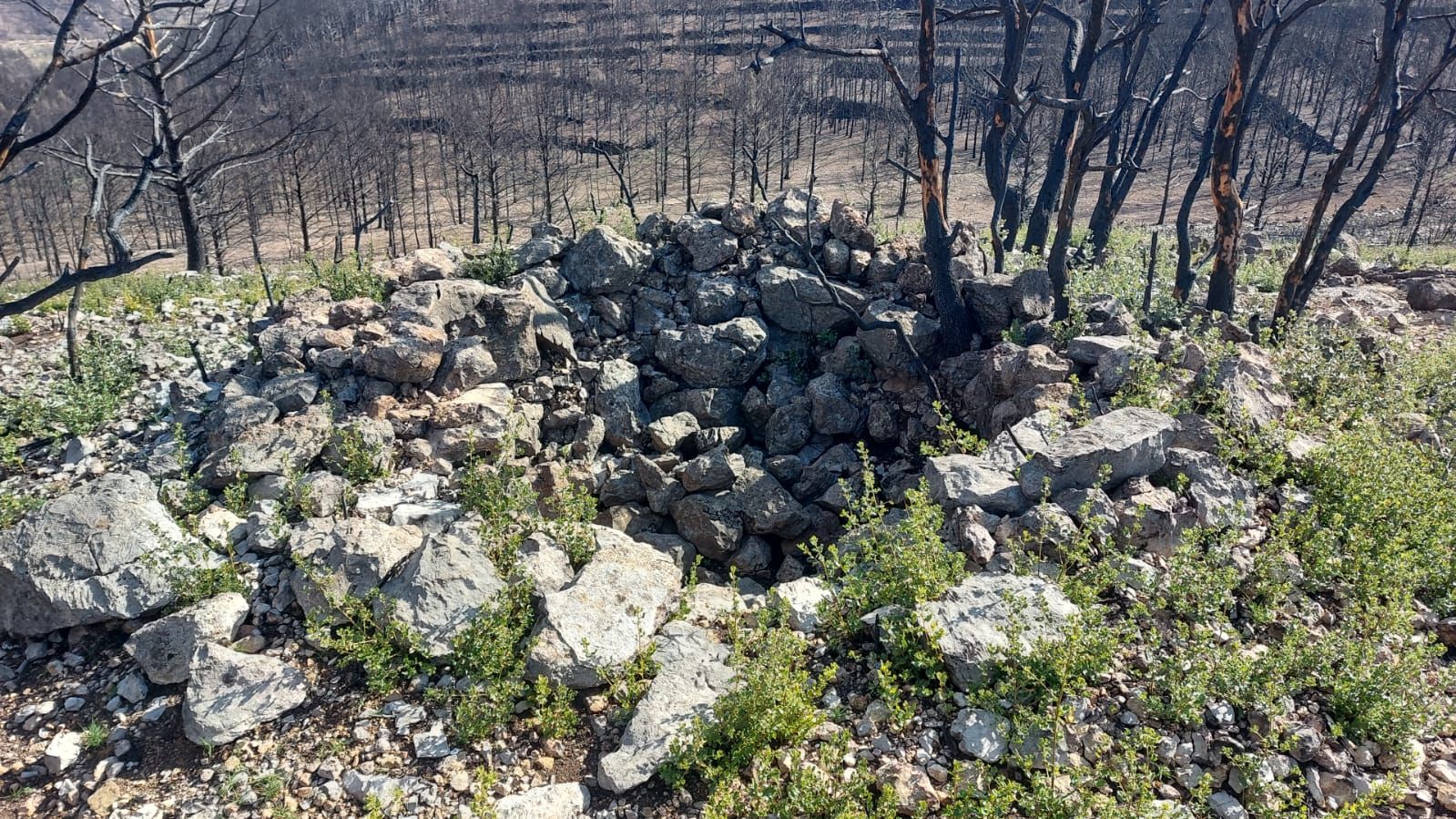 Las construcciones bélicas que ha encontrado Torás a raíz del incendio de Bejís