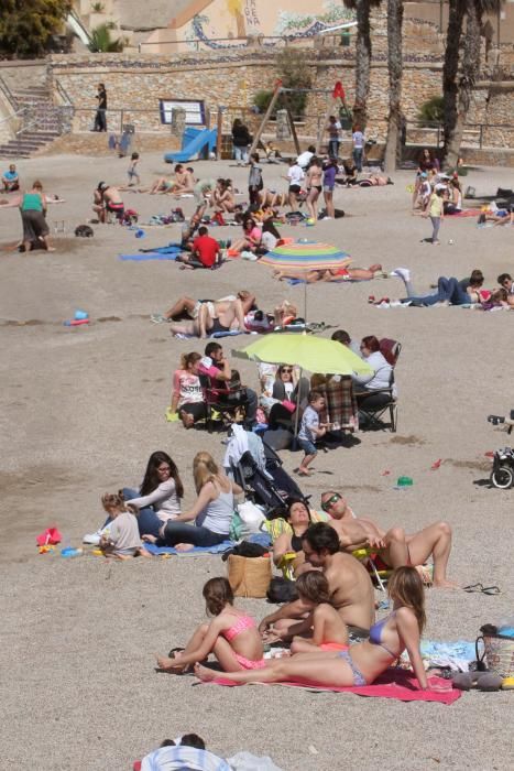 Día de la Mona en Cartagena