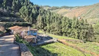 Vivir como en ‘Pasión de gavilanes’: la finca con viñedos en Gran Canaria que se vende por 6.000.000 de euros