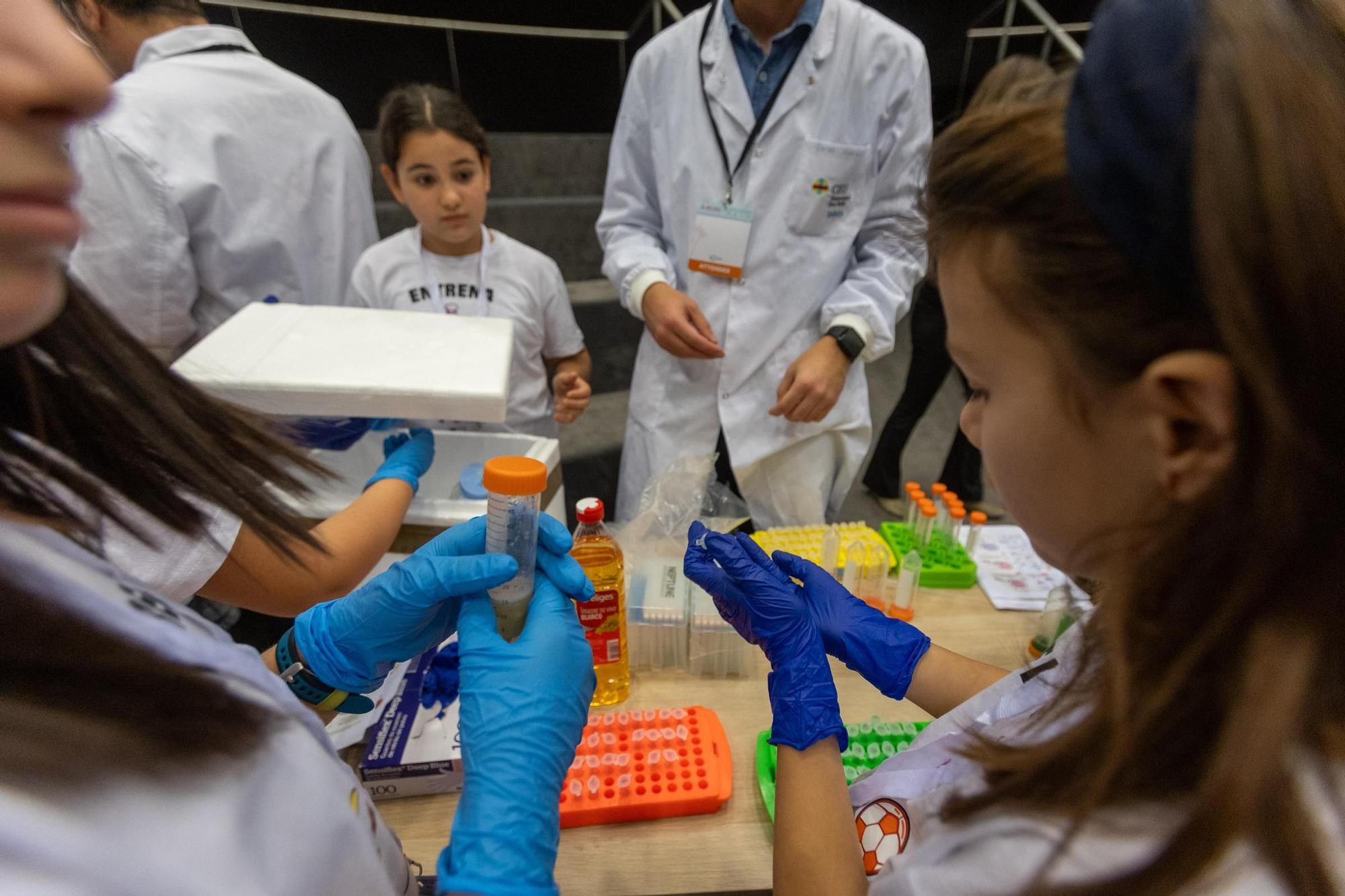 Talleres para niños en el III Simposio Internacional de Inmunorologia celebrado en el ADDA de Alicante