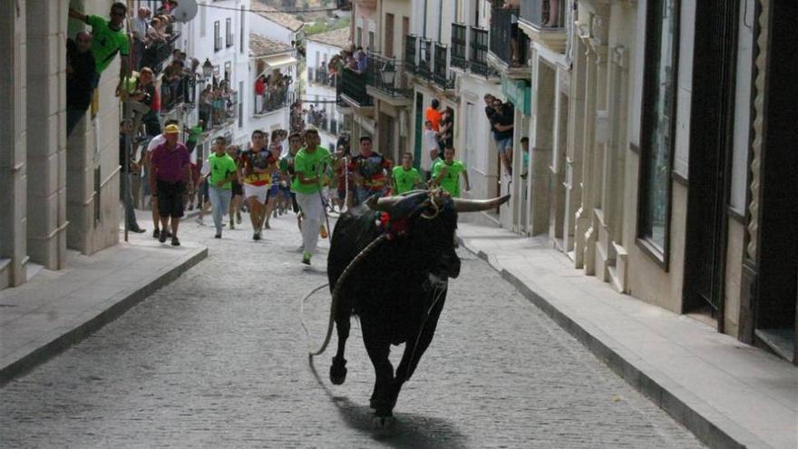 Carcabuey inicia mañana la fiesta del Toro de Cuerda