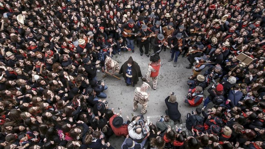 Consulta el programa de las fiestas de Sant Antoni