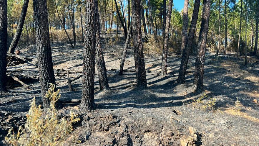 Controlado el incendio de Las Hurdes y Gata tras calcinar 10.000 hectáreas