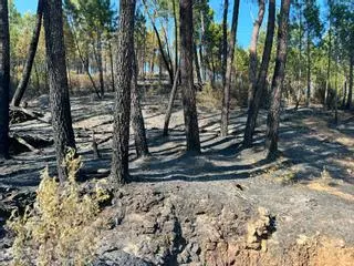 Controlado el incendio de Las Hurdes y Gata tras calcinar 10.000 hectáreas